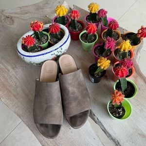 stuart weitzman Y2K brushed suede platform slides